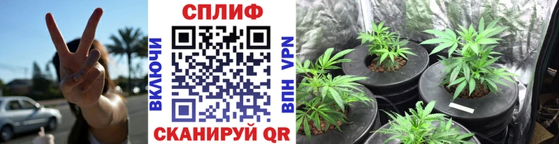 Купить наркотики сайты Нижний Ломов Cocaine Мефедрон Бутират ГАШ