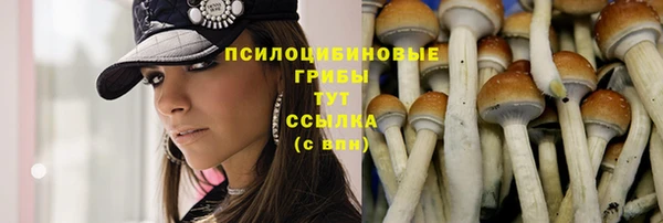 МДМА Няндома