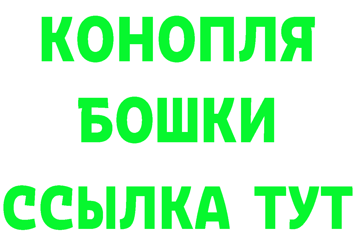 Альфа ПВП СК как войти площадка kraken Нижний Ломов